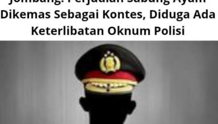 Jombang: Perjudian Sabung Ayam Dikemas Sebagai Kontes, Diduga Ada Keterlibatan Oknum Polisi