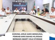 Pemkab Karo Bahas Hilirisasi Berbasis Smart Cold Storage