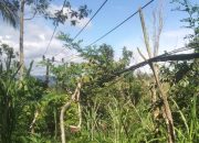 Kabel Listrik Kendor Di Sudimoro Pacitan, Warga Keluhkan Minimnya Perhatian Pln