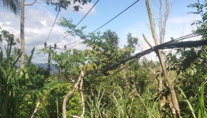 Kabel Listrik Kendor di Sudimoro Pacitan, Warga Keluhkan Minimnya Perhatian PLN