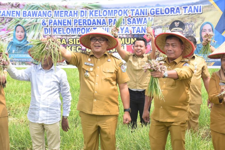 IMG 20260106 WA0048 768x512 1