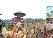 Dukung Ketahanan Pangan, Pemkab Apresiasi Polresta Cirebon Gelar Panen Raya Jagung Pipil