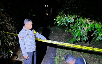 Img 20260112 Wa0162G329Ejx