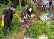 Penemuan Mayat Di Parit Desa Garut, Polisi Temukan Fakta Dan Langkah Lanjut