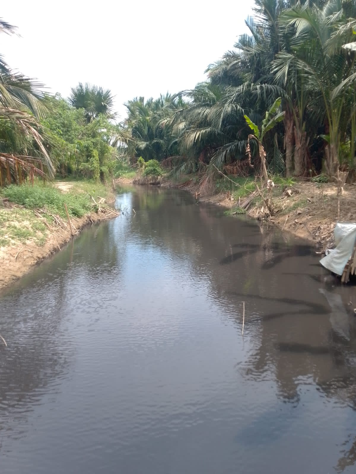 polsek baktiya cek pabrik sagu diduga cemari sungai 2 IMG 20260130 WA0019
