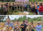 Screenshot 2026 0110 102118