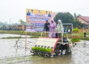 Wagub Deli Serdang; Penanaman Uji Coba IP 300, Target 1 Ha Hasilkan 9 Ton Bukan Hal Mustahil