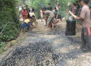 Warga Dusun Pager Desa Wonodadi Kulon Ngadirojo Pacitan Inisiasi Perbaiki Jalan Rusak, Bentuk Aksi Protes Terhadap Lambannya Peran Pemerintah