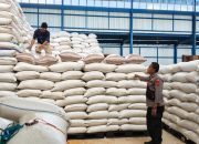 Dukung Ketahanan Pangan, Hasil Panen Jagung Polsek Plered Lolos Standar Mutu Bulog