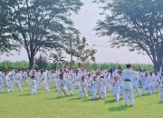 IMG 20260214 WA0007 2