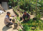Bhabinkamtibmas Polsek Tungkal Ilir Gencarkan Sosialisasi Program P2B Dukung Swasembada Pangan Nasional