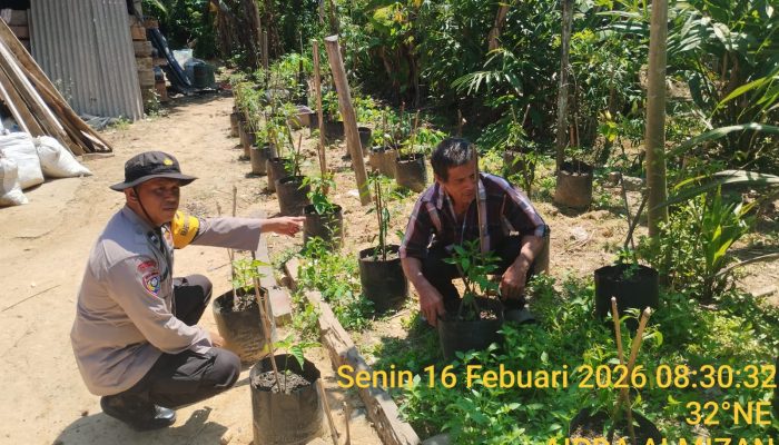 Bhabinkamtibmas Polsek Tungkal Ilir Gencarkan Sosialisasi Program P2B Dukung Swasembada Pangan Nasional