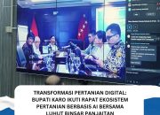 IMG 20260224 WA00011