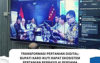 IMG 20260224 WA00011