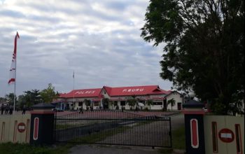 IMG 20260203 005713cvnaWvh