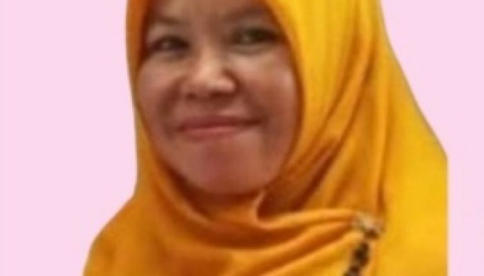 HUT provinsi jambi di SMA Negeri 6 Tanjabtim Bersinergi dan jambi Mantab