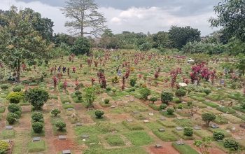 IMG 20260217 132918 408