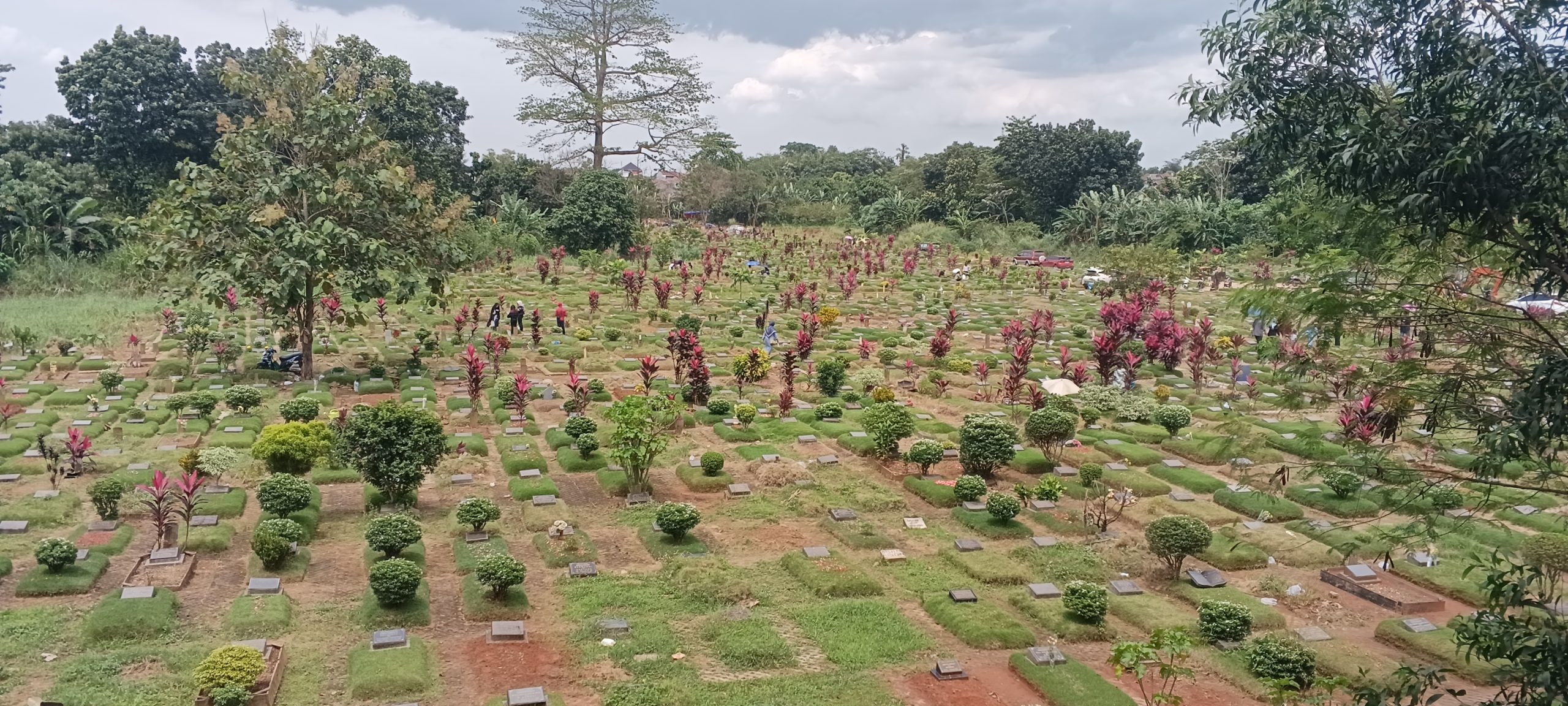 IMG 20260217 132918 408 scaled