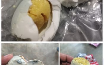 Simamora Murot Selaku Pemilik Dapur Mbg Kampung Wono Agung Memberikan Telor Busuk Ini Faktanya!!!