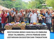 Restocking Benih Ikan Nila di Embung Desa Talimbaru, Upaya Pemkab Karo Lestarikan Ekosistem dan Tingkatkan Kesejahteraan Masyarakat