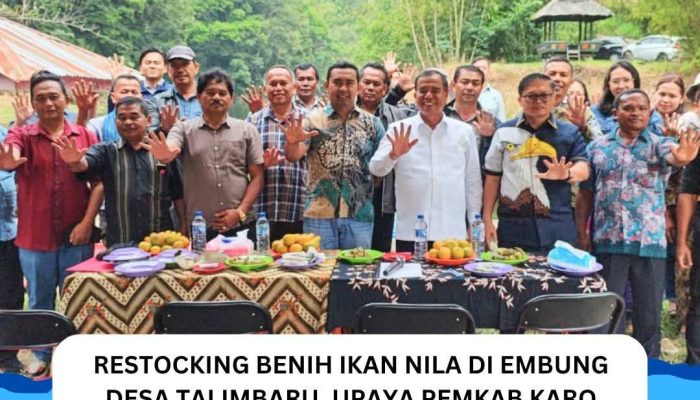 Restocking Benih Ikan Nila di Embung Desa Talimbaru, Upaya Pemkab Karo Lestarikan Ekosistem dan Tingkatkan Kesejahteraan Masyarakat