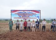 IMG 20260308 WA0010AfWsOv1