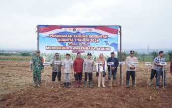 IMG 20260308 WA0010AfWsOv1