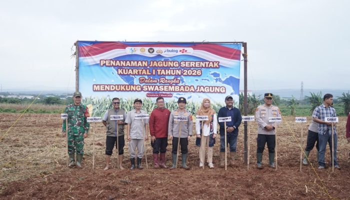 Dukung Swasembada Pangan 2026, Polres Purwakarta Ikuti Penanaman Jagung Serentak Kuartal I