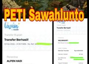 puluhan excavator beroperasi di sawahlunto, dugaan permainan uang mulai terkuak 17 IMG 20260315 WA0008