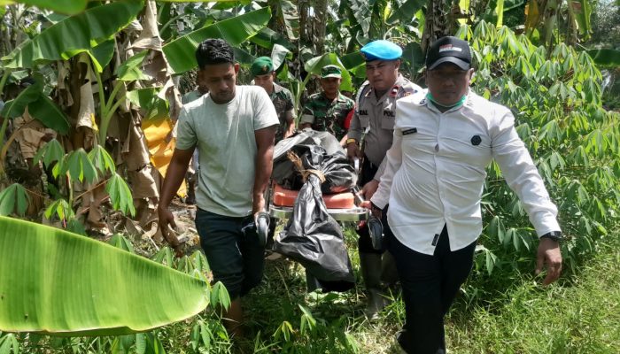 Warga Lhok Reudeup Ditemukan Meninggal Dunia di Kebun Warga Gampong Biram Rayeuk