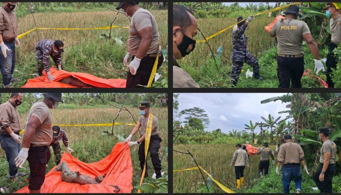 Mayat Perempuan Membusuk Ditemukan di Pinggir Sawah Banyuasin, Diduga ODGJ