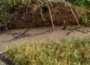 puting beliung menyambar dua kecamatan ,megaluh dan tembelang. 14 IMG 20260331 WA0000