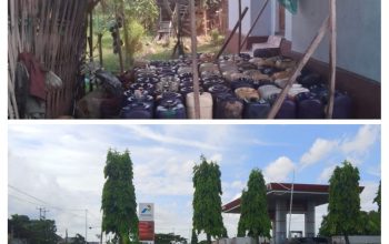 IMG 20260306 153000 COLLAGE