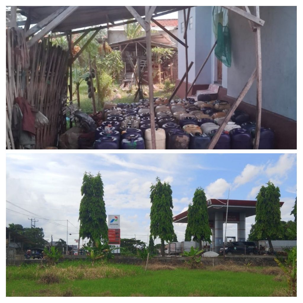 IMG 20260306 153000 COLLAGE