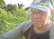 WhatsApp Image 2026 03 20 at 13.55.23