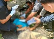 Pohon Tumbang di Jalan Kapten A Rivai Palembang Timpa Pengendara Motor, Satu Korban Meninggal di Lokasi