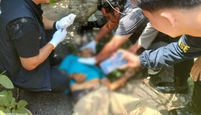 Pohon Tumbang di Jalan Kapten A Rivai Palembang Timpa Pengendara Motor, Satu Korban Meninggal di Lokasi