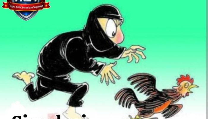 Aksi Pencurian Ayam Kerap Terjadi di Sukajadi, Warga Griya Sejahtera Resah