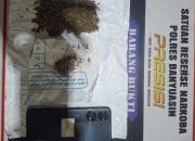 Operasi Undercover Buy Dipimpin Unit Satu Ipda Rio, Polres Banyuasin Jaring Dua Bersaudara Pengedar Ganja di Betung, 37,34 Gram Disita