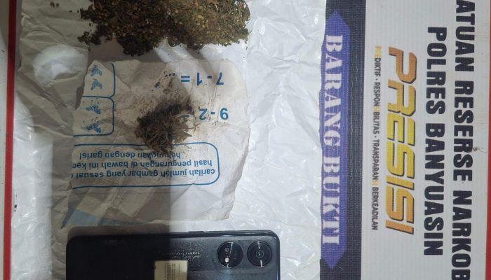 Operasi Undercover Buy Dipimpin Unit Satu Ipda Rio, Polres Banyuasin Jaring Dua Bersaudara Pengedar Ganja di Betung, 37,34 Gram Disita