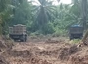 IMG 20260418 WA00681