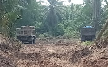 IMG 20260418 WA00681