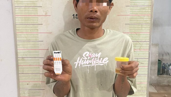 Dapur Rumah Jadi Lokasi Tanam Ganja, Polisi Amankan 44 Batang dan Sabu