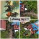 IMG 20260419 WA0043