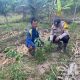 IMG 20260421 WA0263