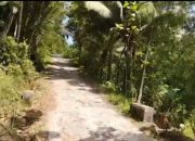 Jalan Poros Kabupaten Pacitan Genting-Sidomulyo Rusak Parah, Warga Keluhkan Akses Satu-Satunya Terancam Lumpuh