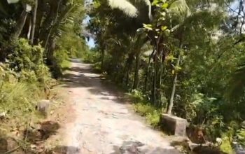 Jalan Poros Kabupaten Pacitan Genting-Sidomulyo Rusak Parah, Warga Keluhkan Akses Satu-Satunya Terancam Lumpuh