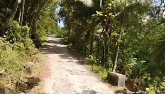 Jalan Poros Kabupaten Pacitan Genting-Sidomulyo Rusak Parah, Warga Keluhkan Akses Satu-Satunya Terancam Lumpuh