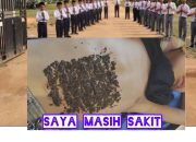 InShot 20260417 060957330