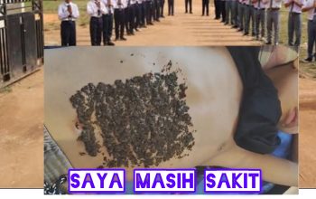 InShot 20260417 060957330